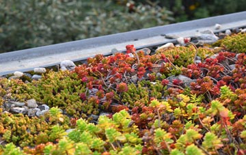 the cost of Thorpe Le Street green roof installation