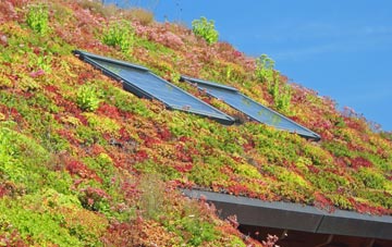Thorpe Le Street living roof systems